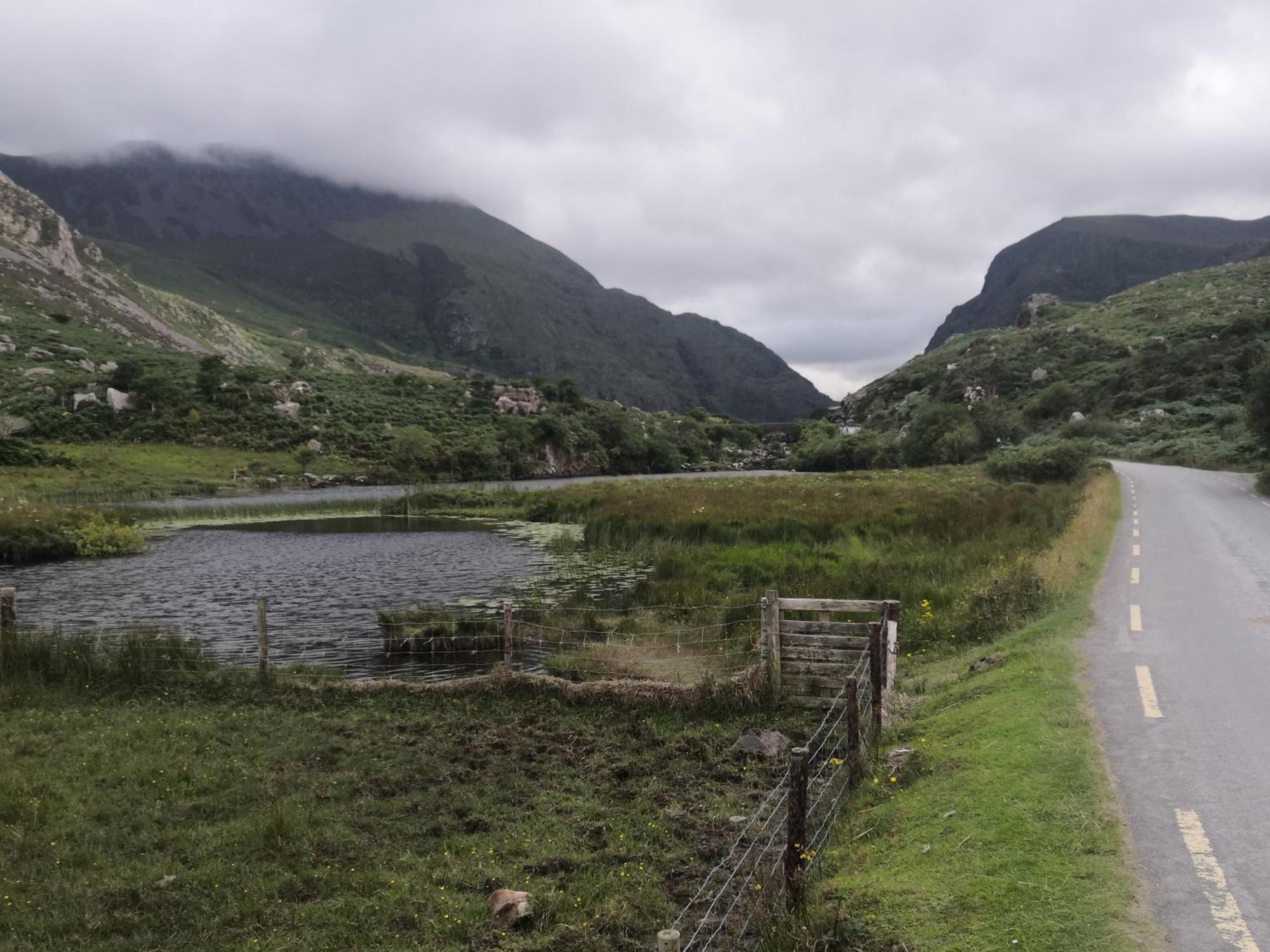 Herlihy'S, Half-Way-House Farranfore Bagian luar foto