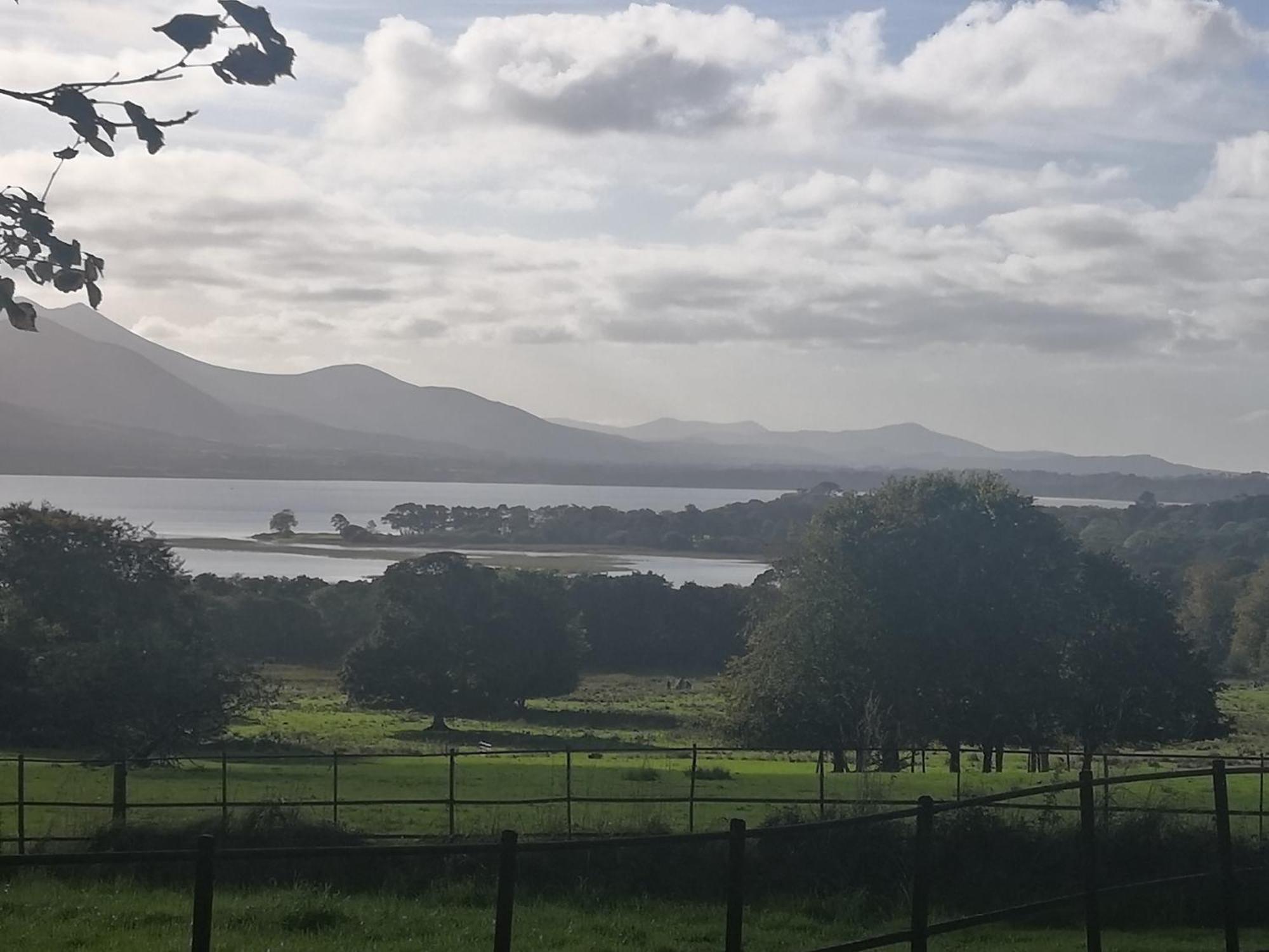 Herlihy'S, Half-Way-House Farranfore Bagian luar foto